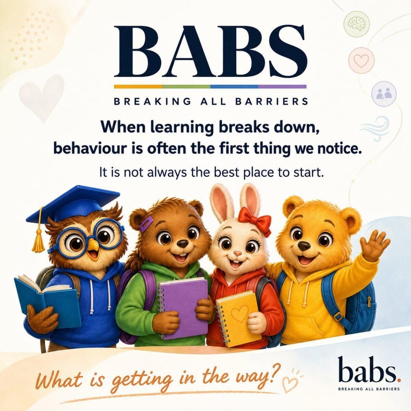 What we miss when we focus only on behaviour