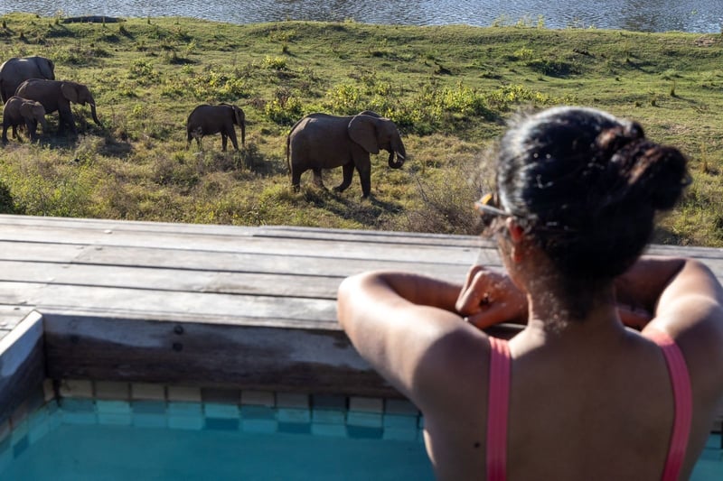 From Soil to Sanctuary - Simbini’s Model for Future-Focused Living