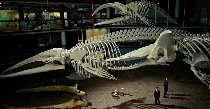 Chicken Licken Bravely Debones A Rare Phobia With Their Latest Campaign