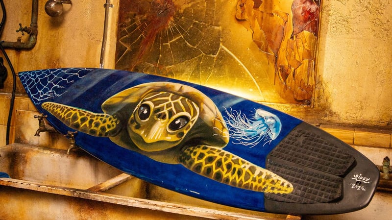 Shark Exhibition Showcases Innovative Solutions to Protect Both Marine Life and Human Safety in SA Waters