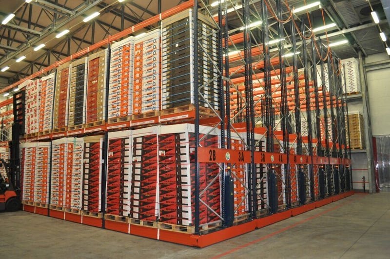 APC Storage Solutions SA equips FPT for citrus export
