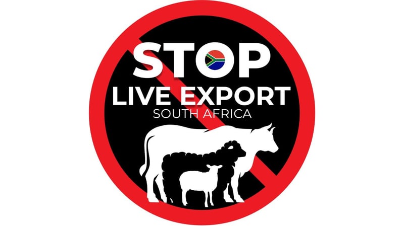 SLESA And CIWF Lead Campaign For Public Input Against Inhumane Live Animal Export Regulations
