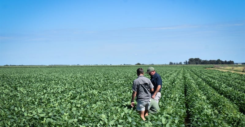 Groundbreaking Training Initiative Aims To Build Business Acumen Among Next-Gen Crop Advisors