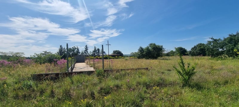 Horse welfare at the forefront as the National Horseracing Authority and NSPCA hold constructive talks