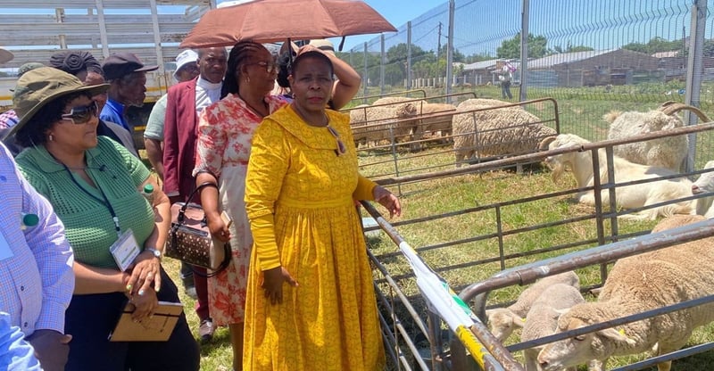 Emerging Farmers Gain Market Exposure as Chris Hani Agri Show Highlights New Agribusiness Pathways