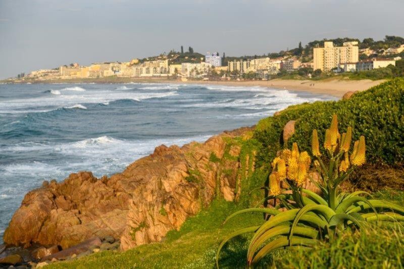 BPESA highlights the potential of the KZN South Coast as a BPO and GBS investment destination