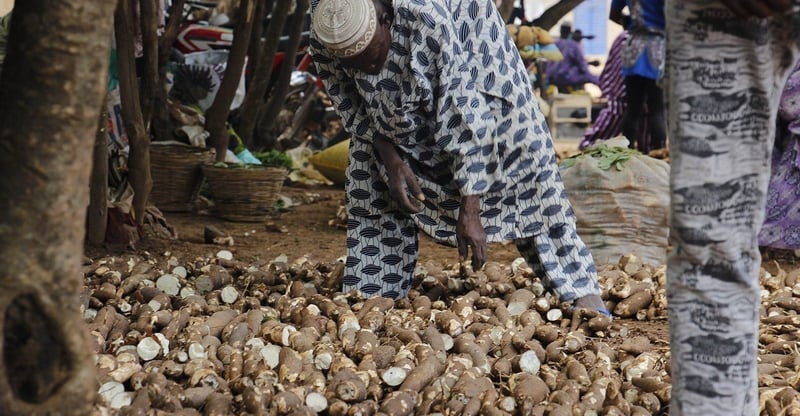 Researchers Warn Of Rising Climate Risks To Nigeria’s Food Security And Crop Production