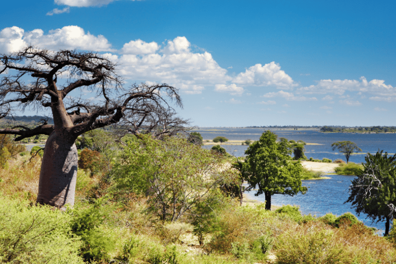 Winter Safari Excellence With Kaelo Destinations In Mashatu Game Reserve