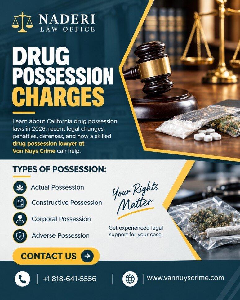 How Can a Drug Possession Lawyer Defend Your Case in Van Nuys?