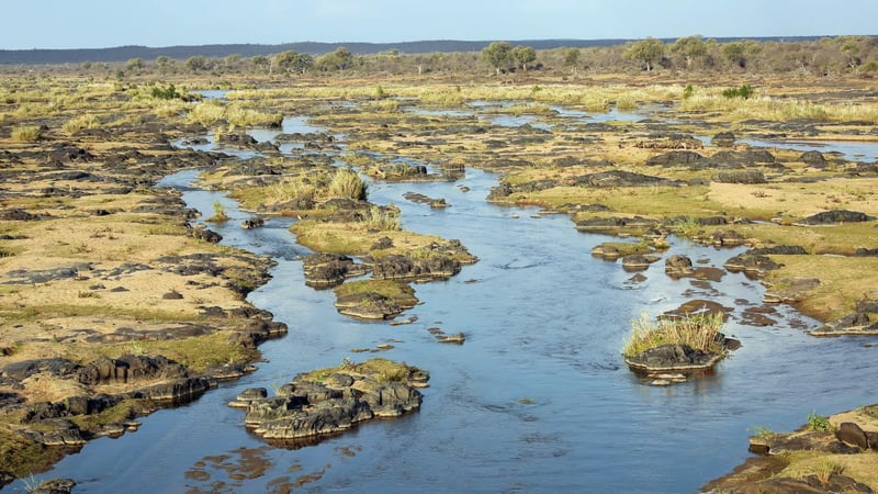 SANParks Confirms Phased Reopening Of Kruger National Park Gates And Visitor Facilities