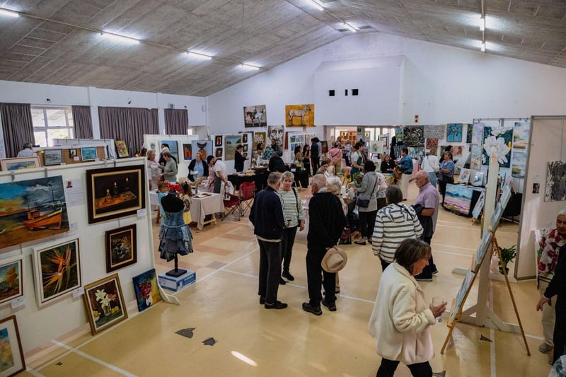 Plett Arts Association celebrates strong response to its 2026 festival exhibitions