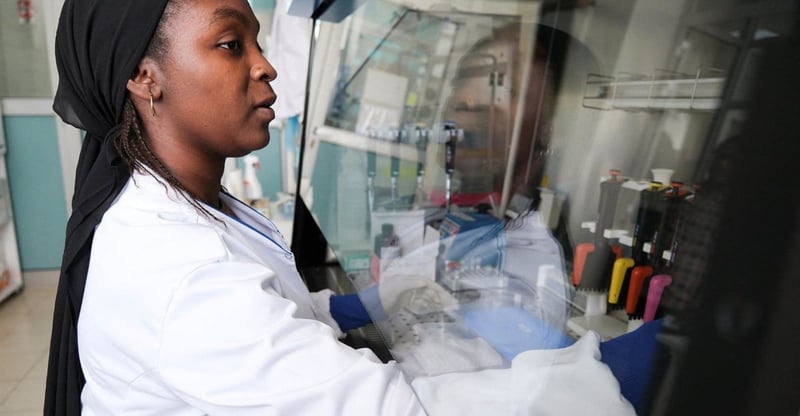 Emerging Disease Scientists Highlight Growing Risk Of Undetected Hantavirus Spread In Africa
