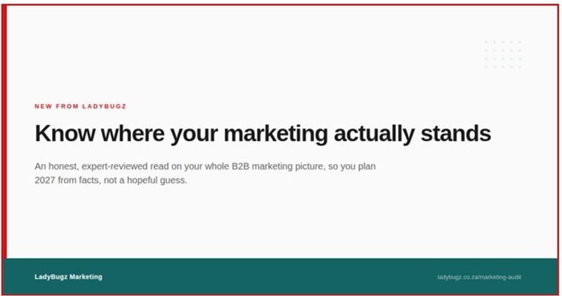 LadyBugz Launches a B2B Marketing Strategy Audit to Help Businesses Plan 2027 From the Truth