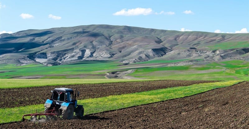 Agricultural Sector Warns Of Growing Risks From Imported Input Costs And Supply Chain Disruptions