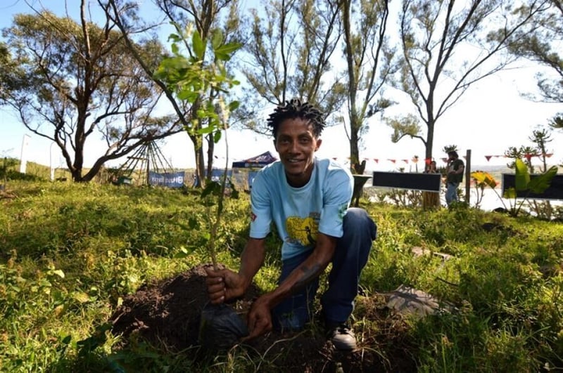 150 Trees planted at Wild Coast Music Fest