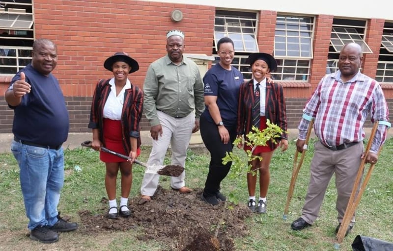 Sibaya nurtures roots of change through tree planting