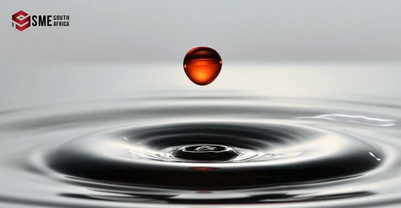 The Year Of Impact Sees SME South Africa Strengthen Its Mission To Help SMEs Start And Scale