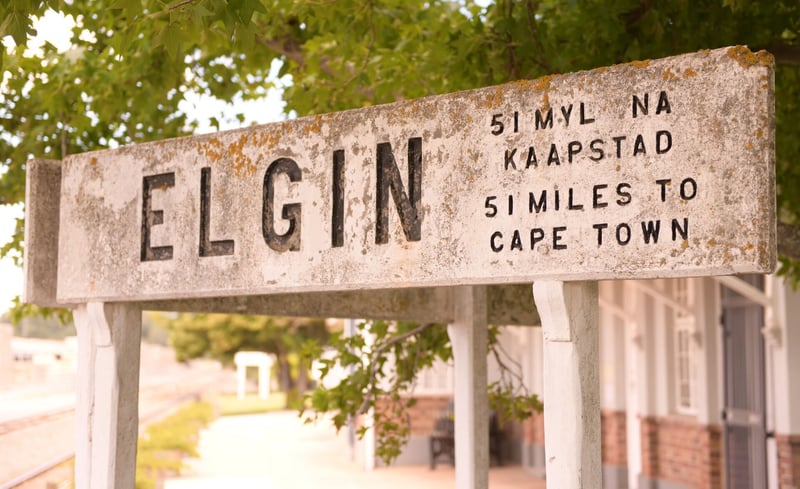 How to pronounce Elgin – and other things you didn’t know about the Cape’s best-kept secret
