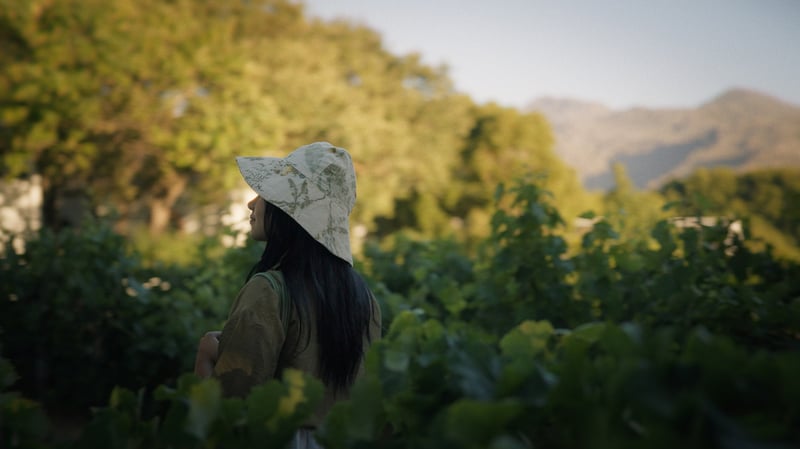 Harvest time tastes and traditions celebrated at La Motte