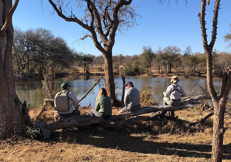 For True Nature Enthusiasts – Stones Safaris Offers Ultimate Bush Veld Immersion