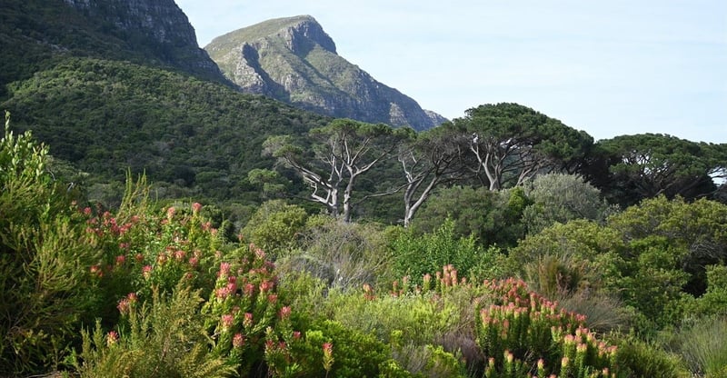 South Africa’s Biodiversity Assessment Goes Digital As Sanbi Launches Data Rich NBA 2025 With Expert Collaboration