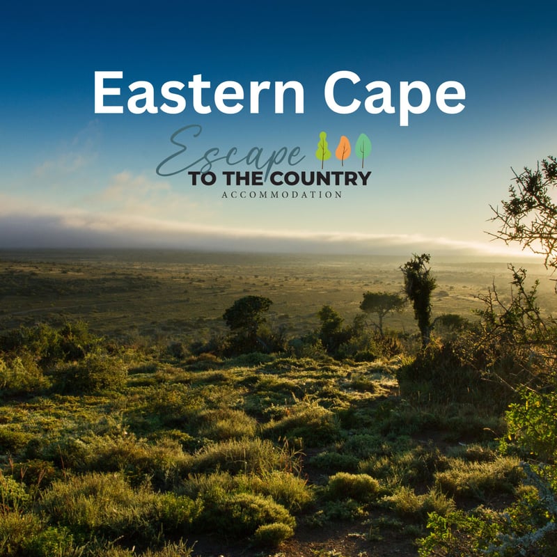 Discovering Eastern Cape Accommodation Made Easier for South African Travellers