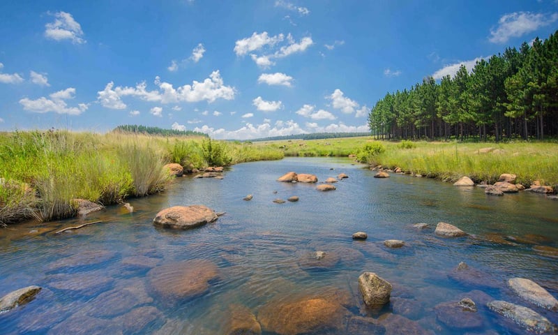 Celebrating World Water Day - How Private Landowners Are Conserving South Africa's Wetlands