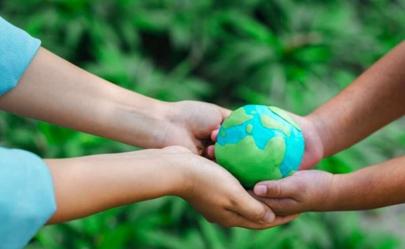 Neutralise - Your Partner in Carbon Neutrality and Environmental Stewardship