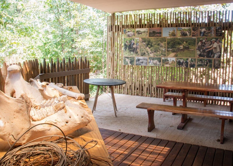 When Conservation Becomes Part of the Safari