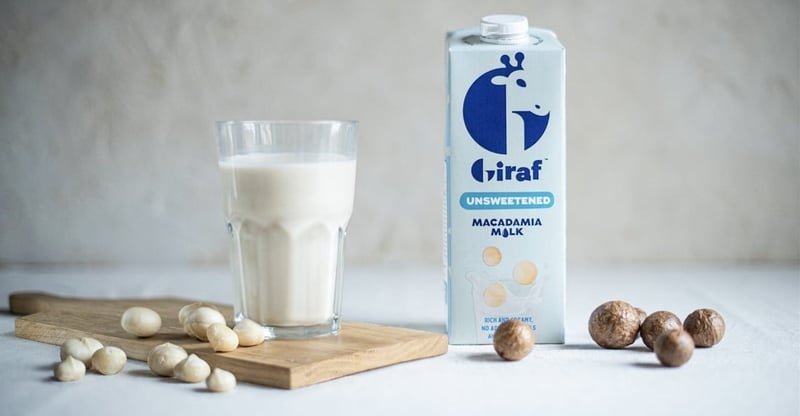 Premium Plant Milk Defies Expectations As South Africa Market Matures