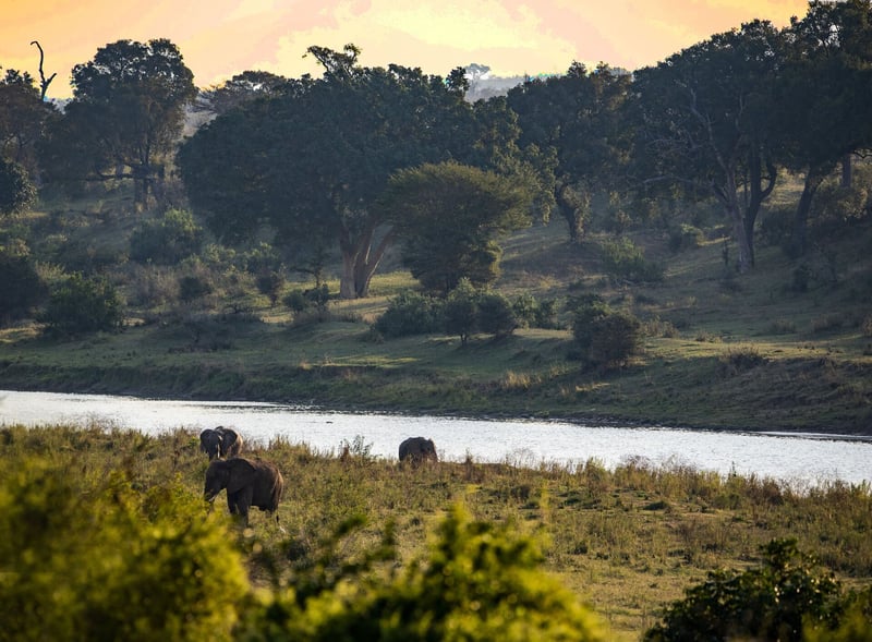 Generational Planning - Rooting Your Future at Shawu’s Hills Wildlife Estate