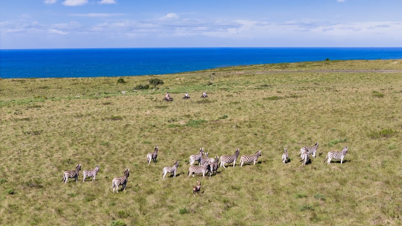 World Environment Day (5 June) - a South African programme is changing how the tourism industry thinks about its impact