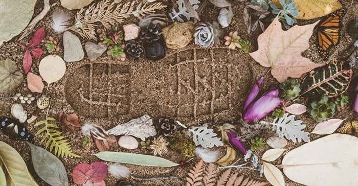 One Carbon World Strengthens Commitment To Sustainability At Carbon Markets Africa Summit