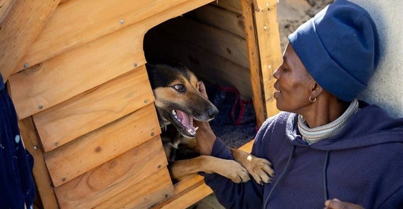 South Africa Records First National Pet Ownership Data In Major Milestone For Animal Welfare