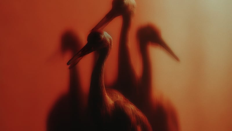 fabric London returns to Jo’burg and Cape Town in January 2026