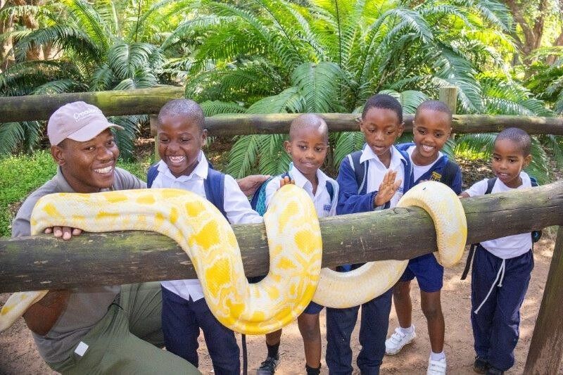 7 Reasons to Book the Next School Outing at Crocworld Conservation Centre