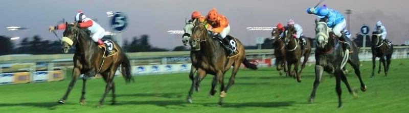 It is a racing go for traditional equine sport in KwaZulu-Natal