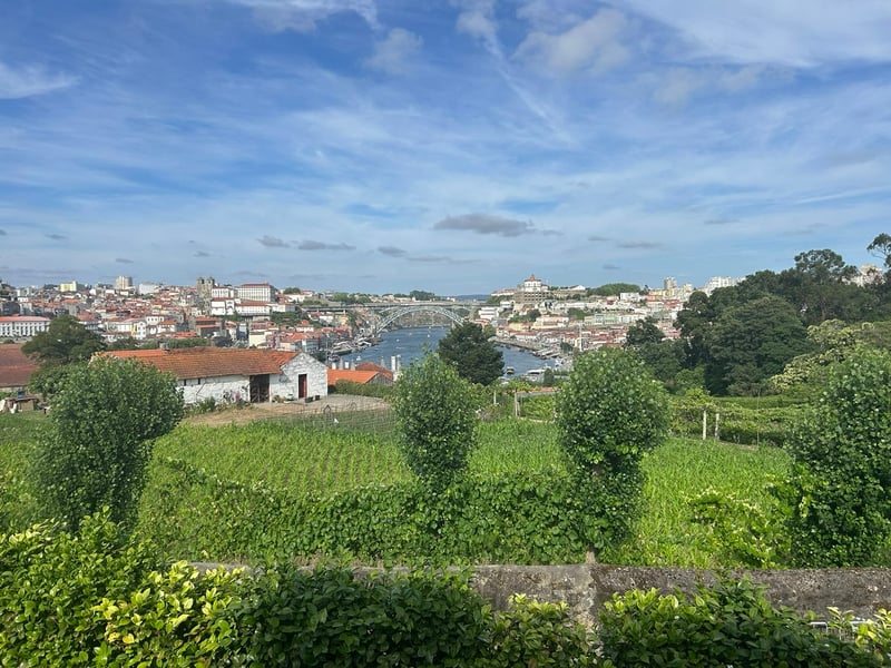 Industry Visit To Portugal Reveals Key Trends Shaping The Future Of Global Viticulture