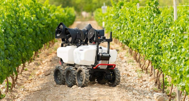 New Vineyard Technologies Recognised For Boosting Productivity And Reducing Environmental Impact