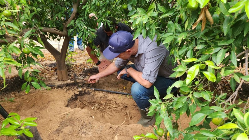 Expert plant nutrition and soil management more important than ever