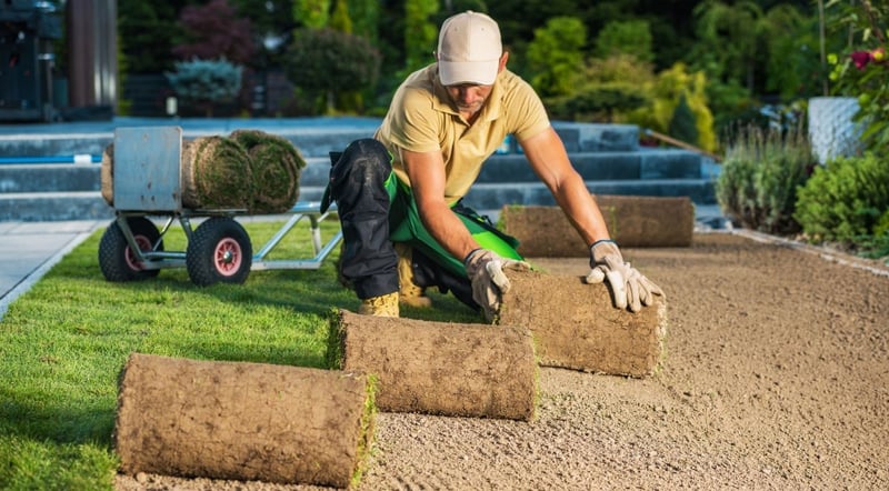 Green Cube Maintenance & Landscaping Addresses Critical Commercial Property Challenges Through Strategic Outdoor Design