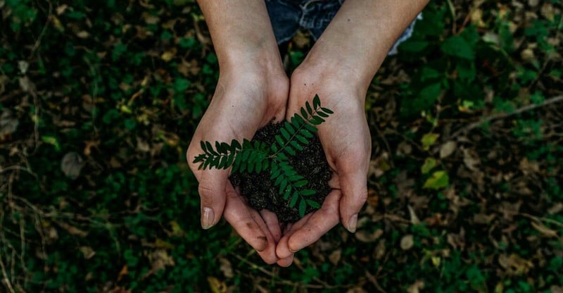 Rogerwilco Joins The B Corp Movement - What It Means For Employees, Clients, And The Industry