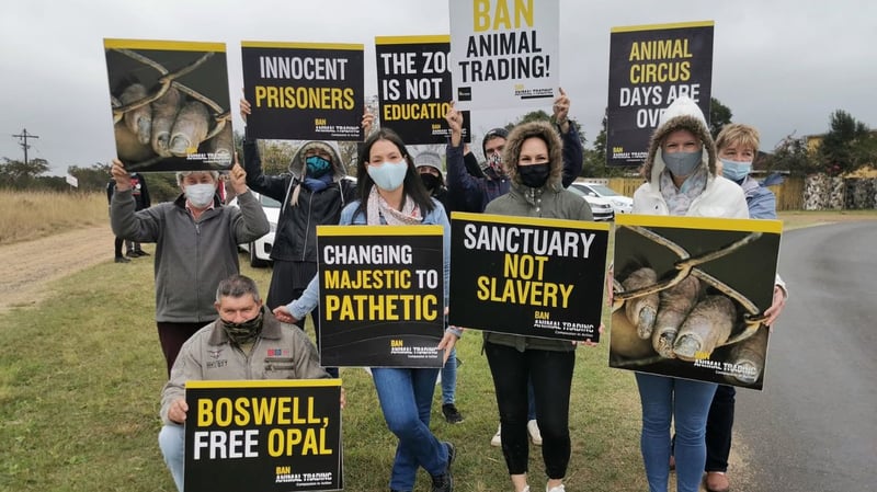 North Coast Community Unites for Justice for Opal Highlighting Animal Welfare on International Day