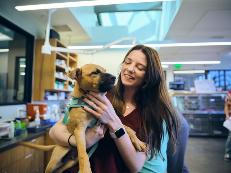 Simplifying Worm, Tick and Flea Protection for Pets