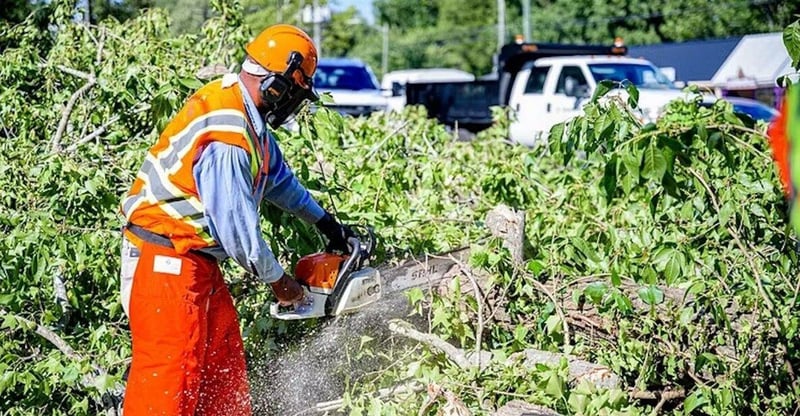 South Africa's working For Water' Programme Is Meant To Lead To Skills And Jobs - Why It's Failing
