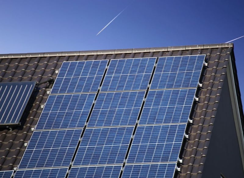 Eco Smart Pest Control Publishes Guide on Bird Mesh Protection for Solar Panels in Johannesburg