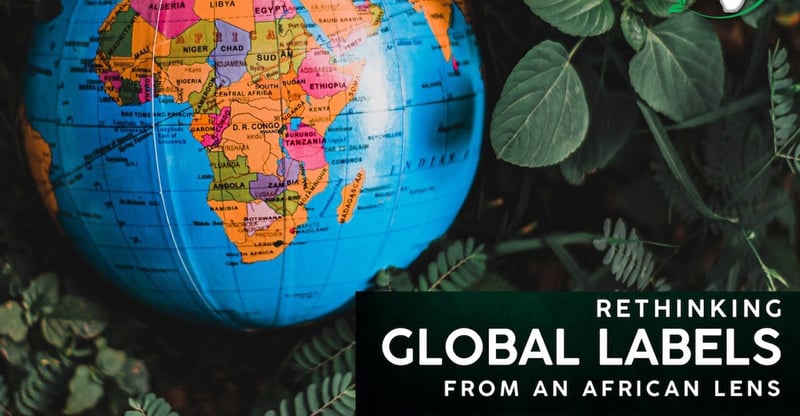 Reframing Africa’s Global Identity Discarding Outdated Labels To Embrace Local Realities And Strengths