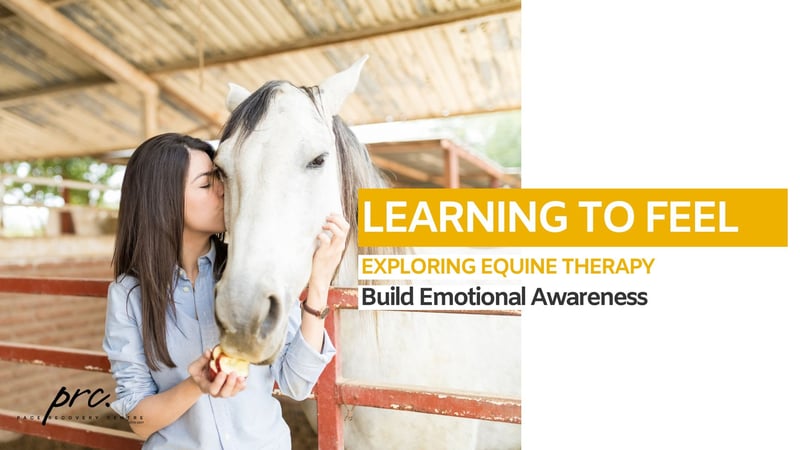 Pace Recovery Centre Offers Equine Therapy as Alternative Pathway to Emotional Awareness