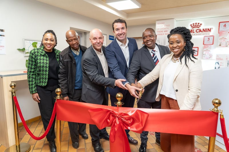 Gauteng Launches First Internationally Accredited Cat-Friendly Clinic