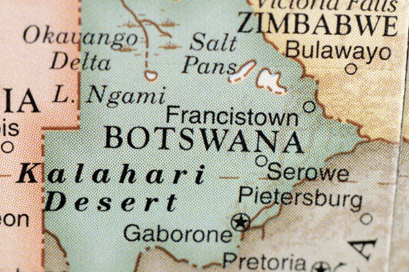 Planning a Safari in Botswana -  What Travellers Should Know